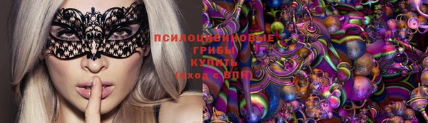 бошки Абинск