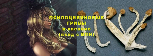 каннабис Алексин