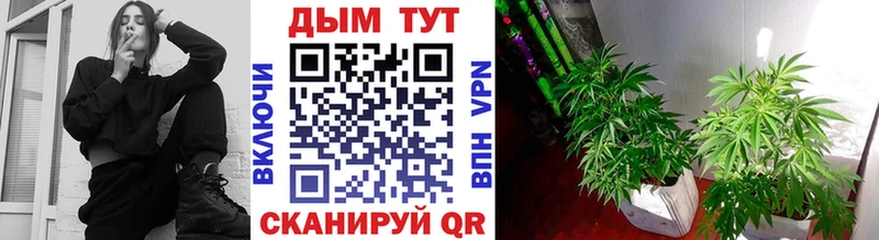 Бошки Шишки Bruce Banner  Пенза 